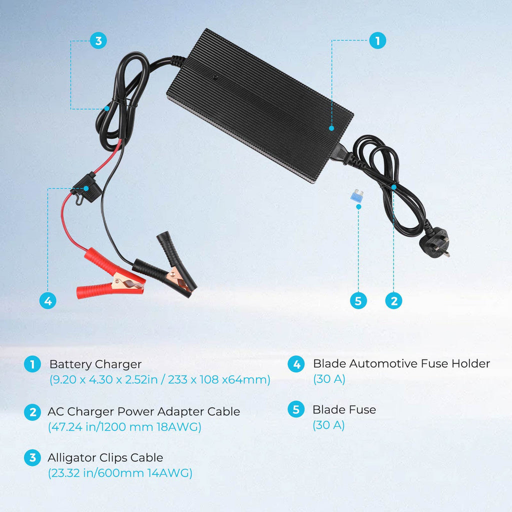 Renogy 20A 240V AC to DC LiFePO4 battery charger connection and charging detail