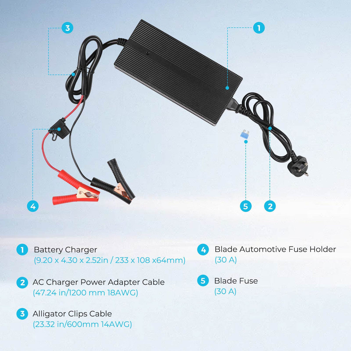 Renogy 20A 240V AC to DC LiFePO4 battery charger connection and charging detail